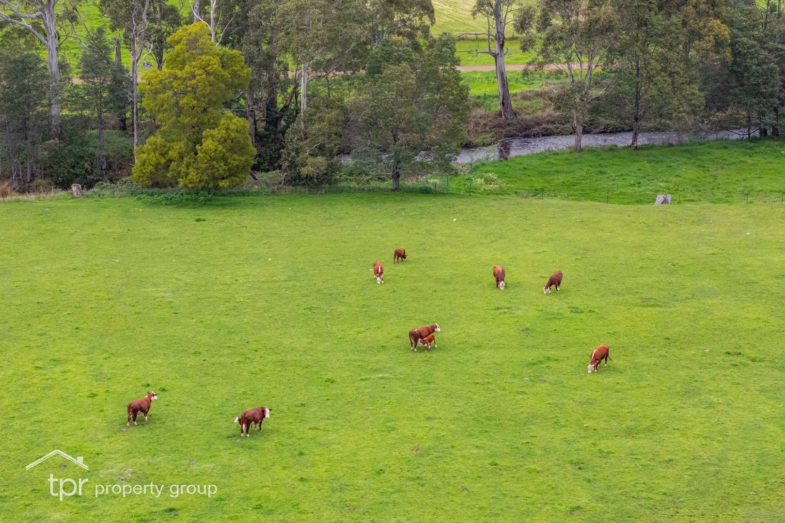 Additional image 30 of 4695 Huon Highway, Geeveston TAS 7116