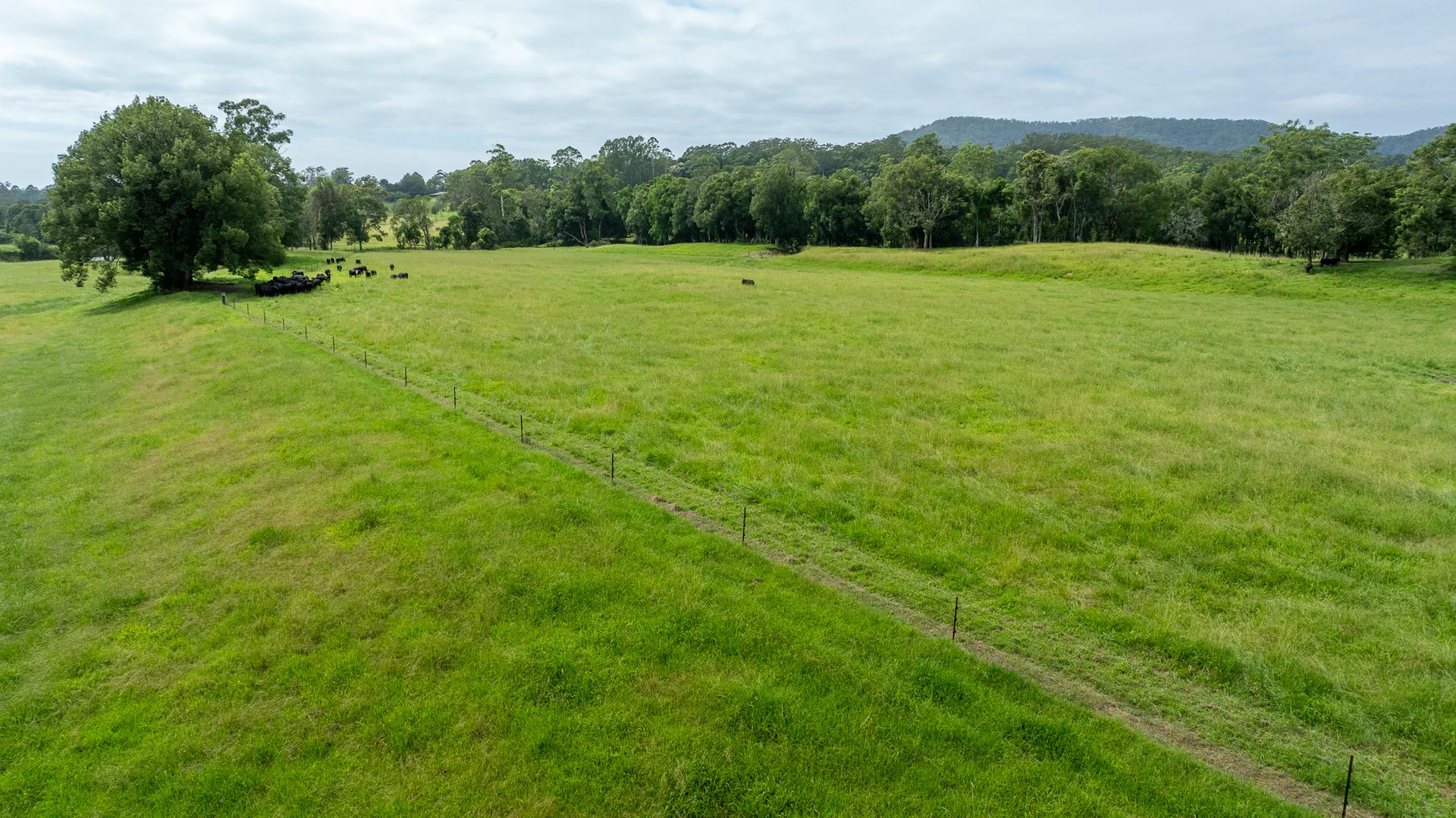Additional image 21 of 300 Martells Road, Bellingen NSW 2454