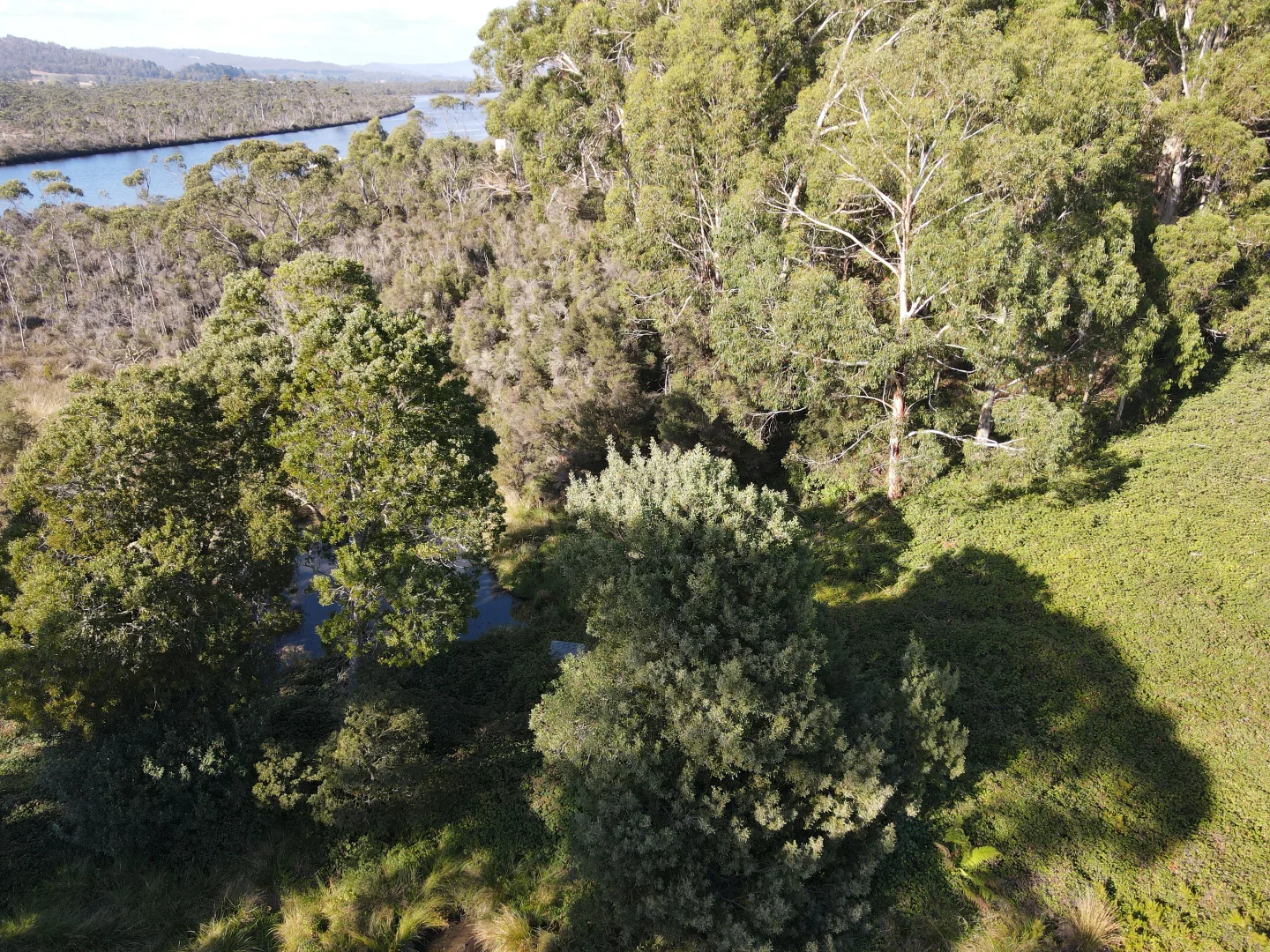 Additional image 6 of Lot 1, Huon Highway, Franklin TAS 7113