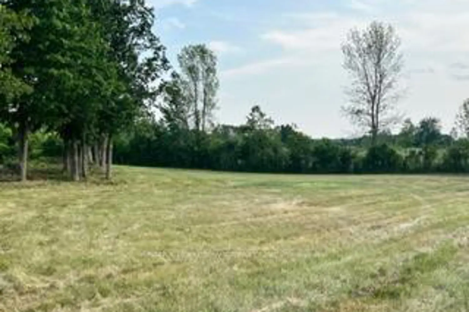 Additional image 18 of 0 Kitley Line 8 Road