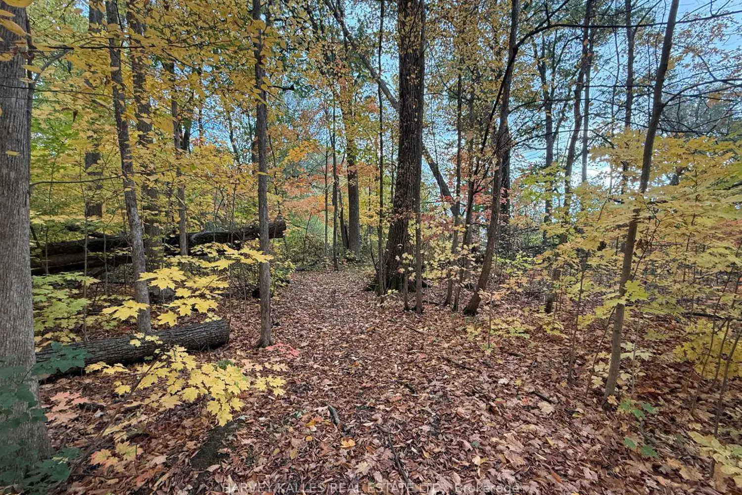 Additional image 8 of 0 Oakwood Lane