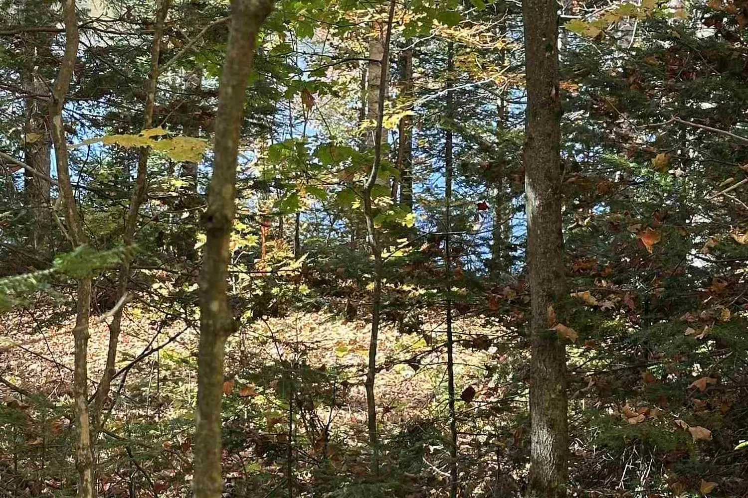 Additional image 20 of 0 Balsam Lane
