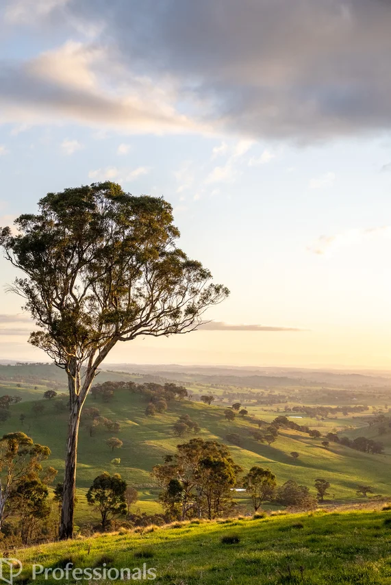 Additional image 59 of 361 Dicksons Lane, Orange NSW 2800