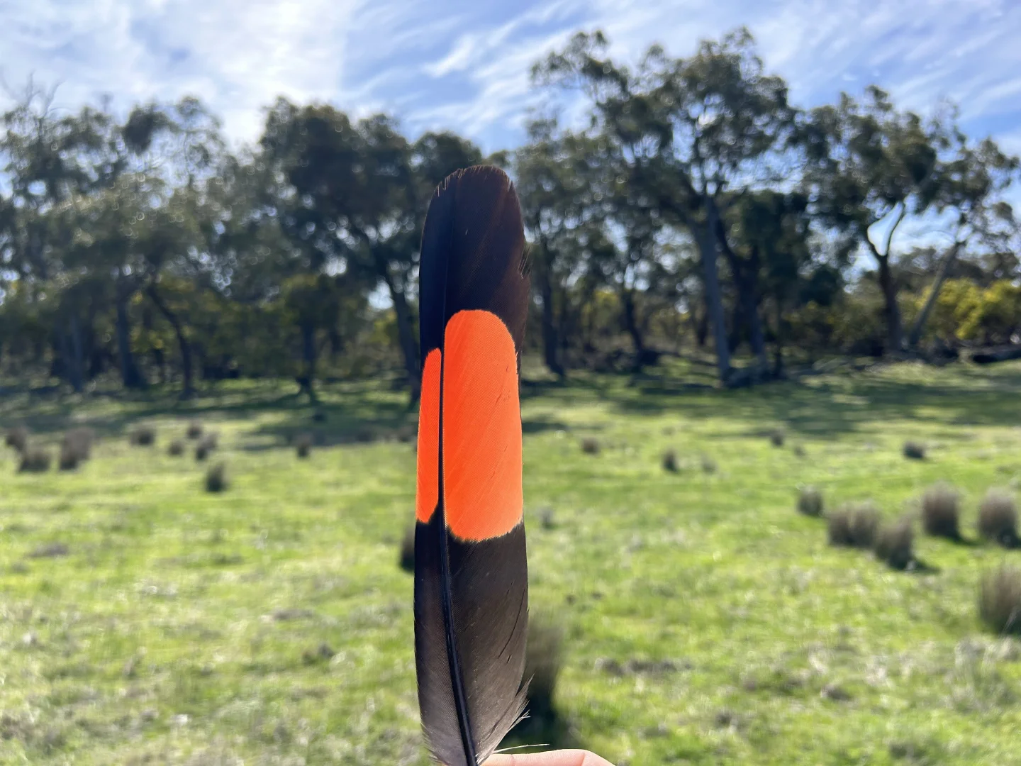 Additional image 17 of CA/75 A Watkins Road, Karnak VIC 3401