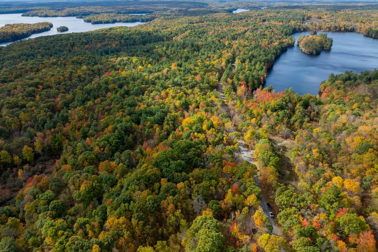 Additional image 17 of Pt Lts 12 & 13 Devil Lake Road