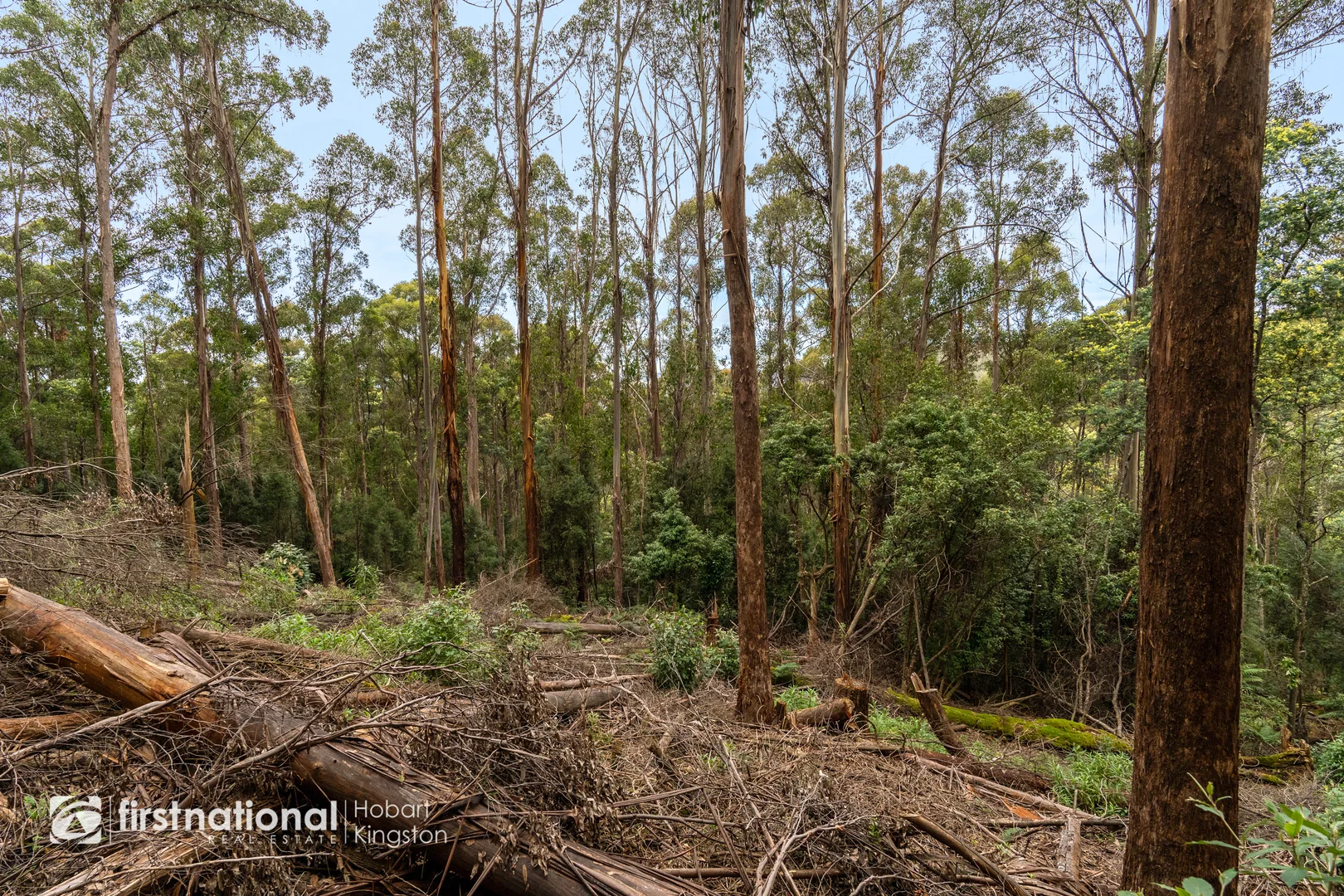 Additional image 10 of 240 Watsons Road, Kettering TAS 7155