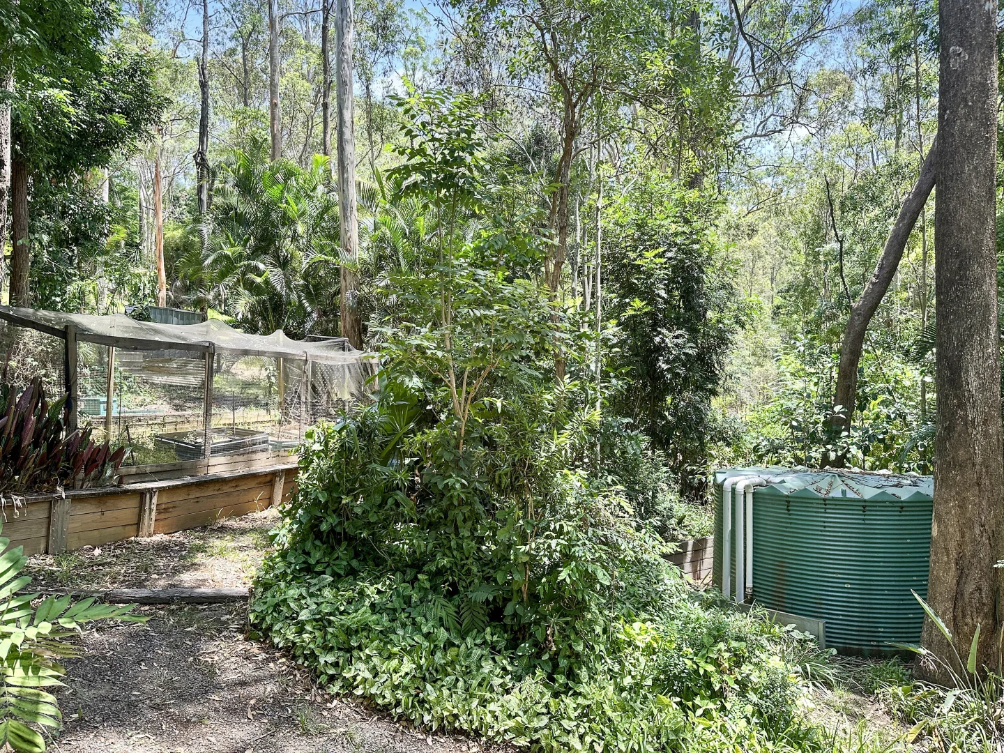 Additional image 23 of 34 Montego Court, Eatons Hill QLD 4037