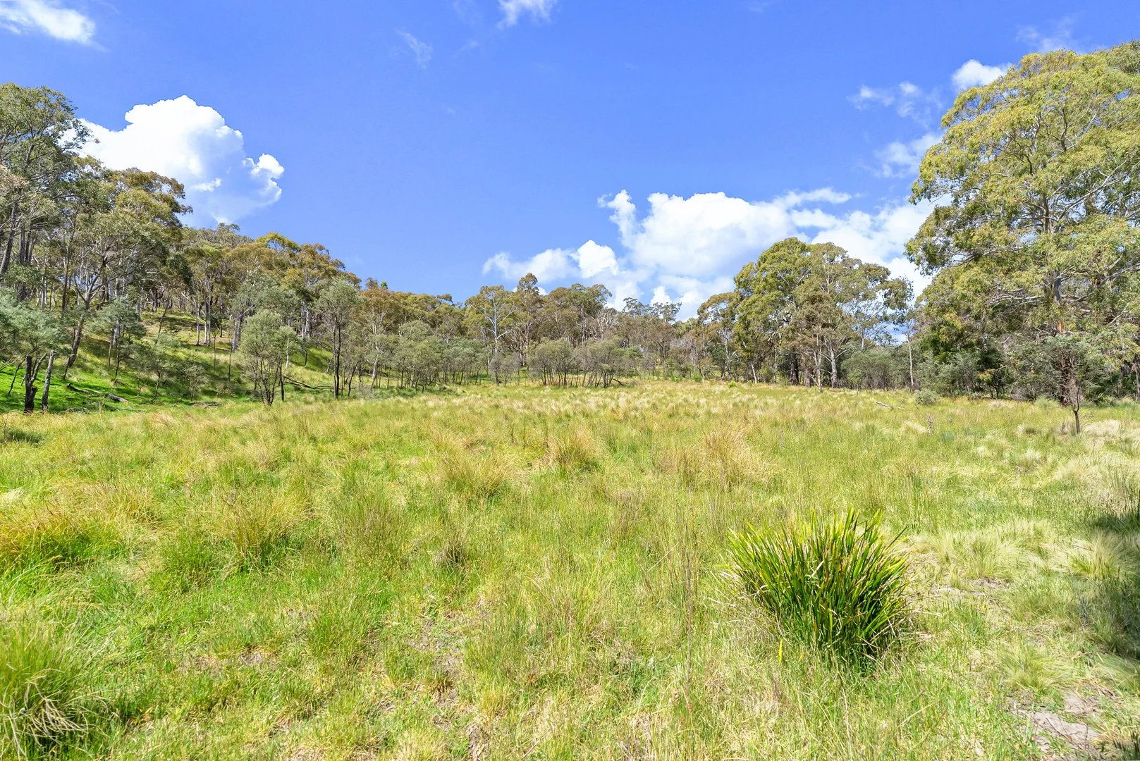 Additional image 4 of 925 Marked Tree Road, Gundaroo NSW 2620