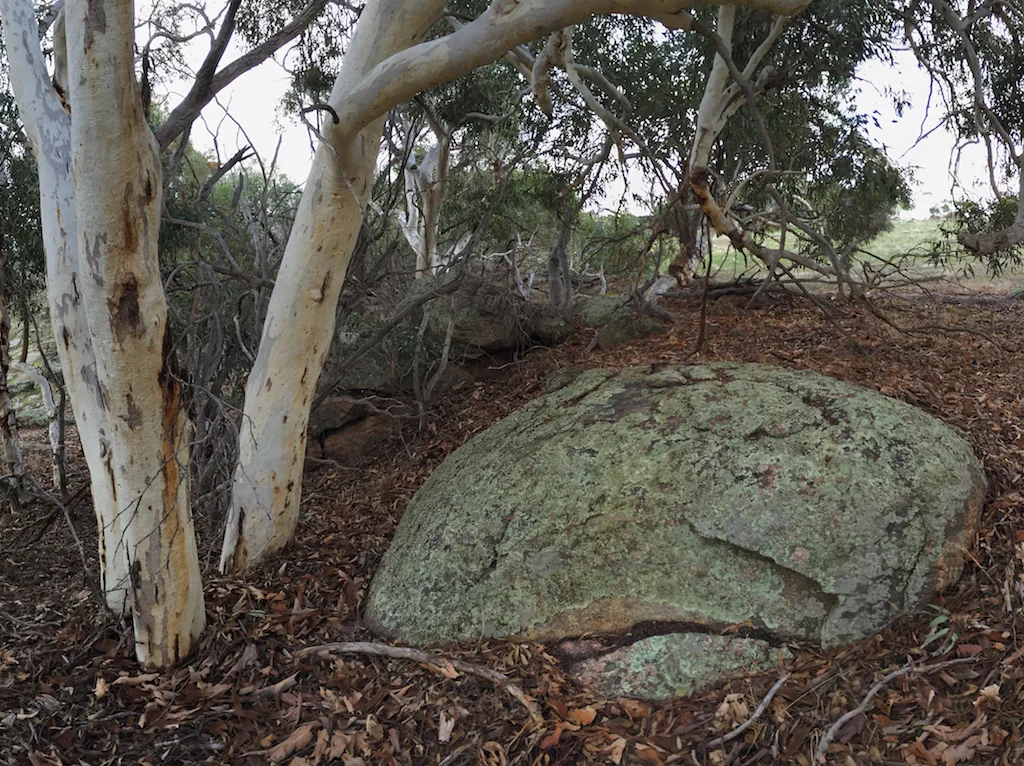 Additional image 35 of Lot 12 Young Road, Gwambygine WA 6302