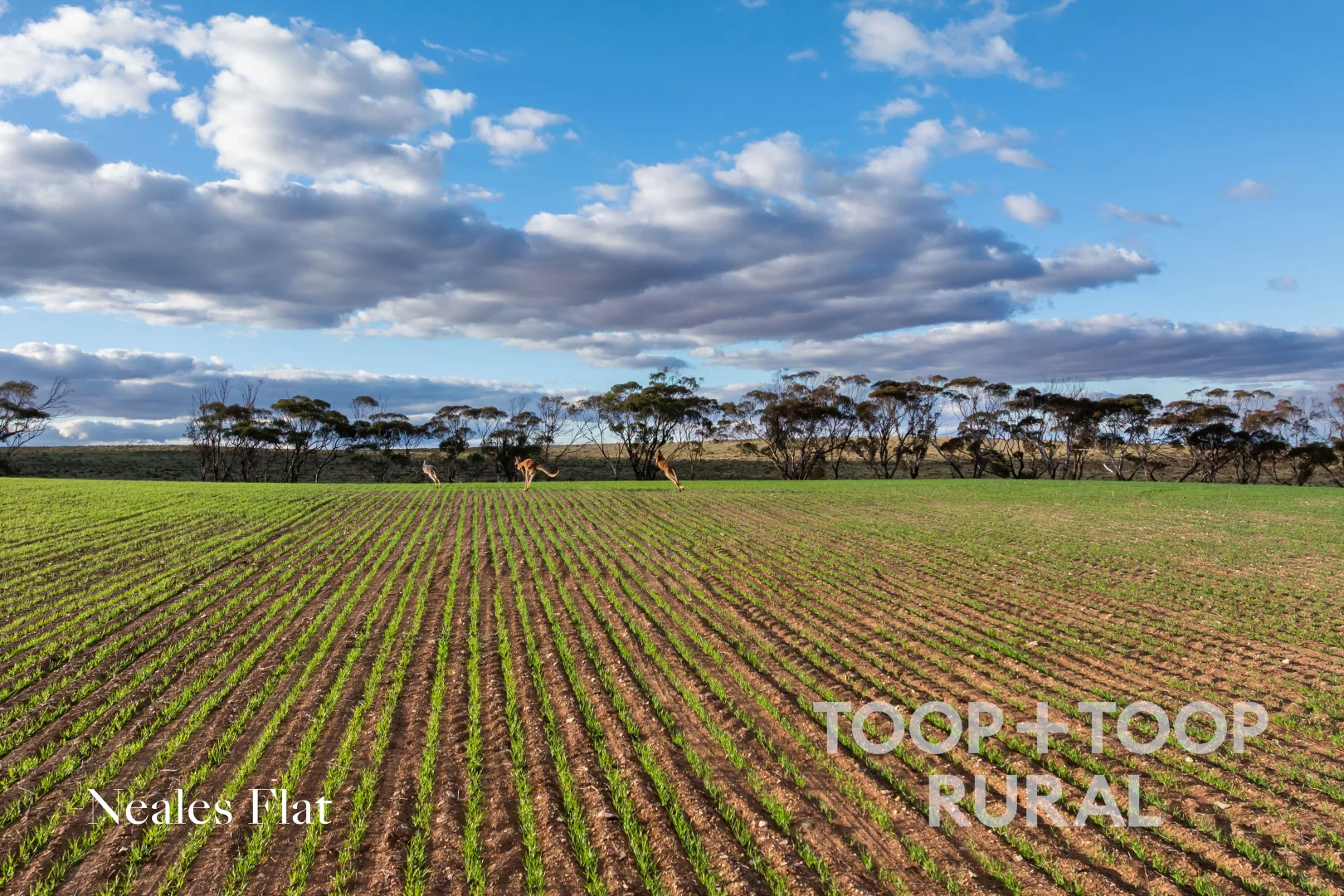 Additional image 2 of 332 Angle Road, Brownlow SA 5374