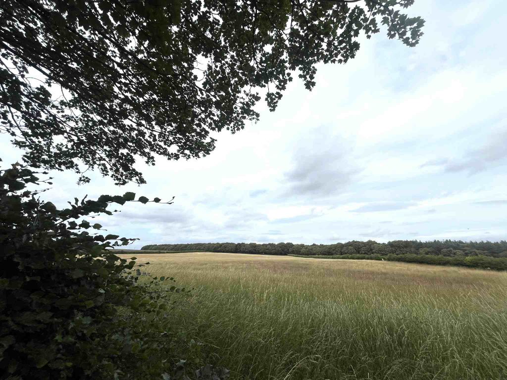 Additional image 4 of 1 bed farm to rentLadyfield Road, Thorpe Salvin, Worksop S80