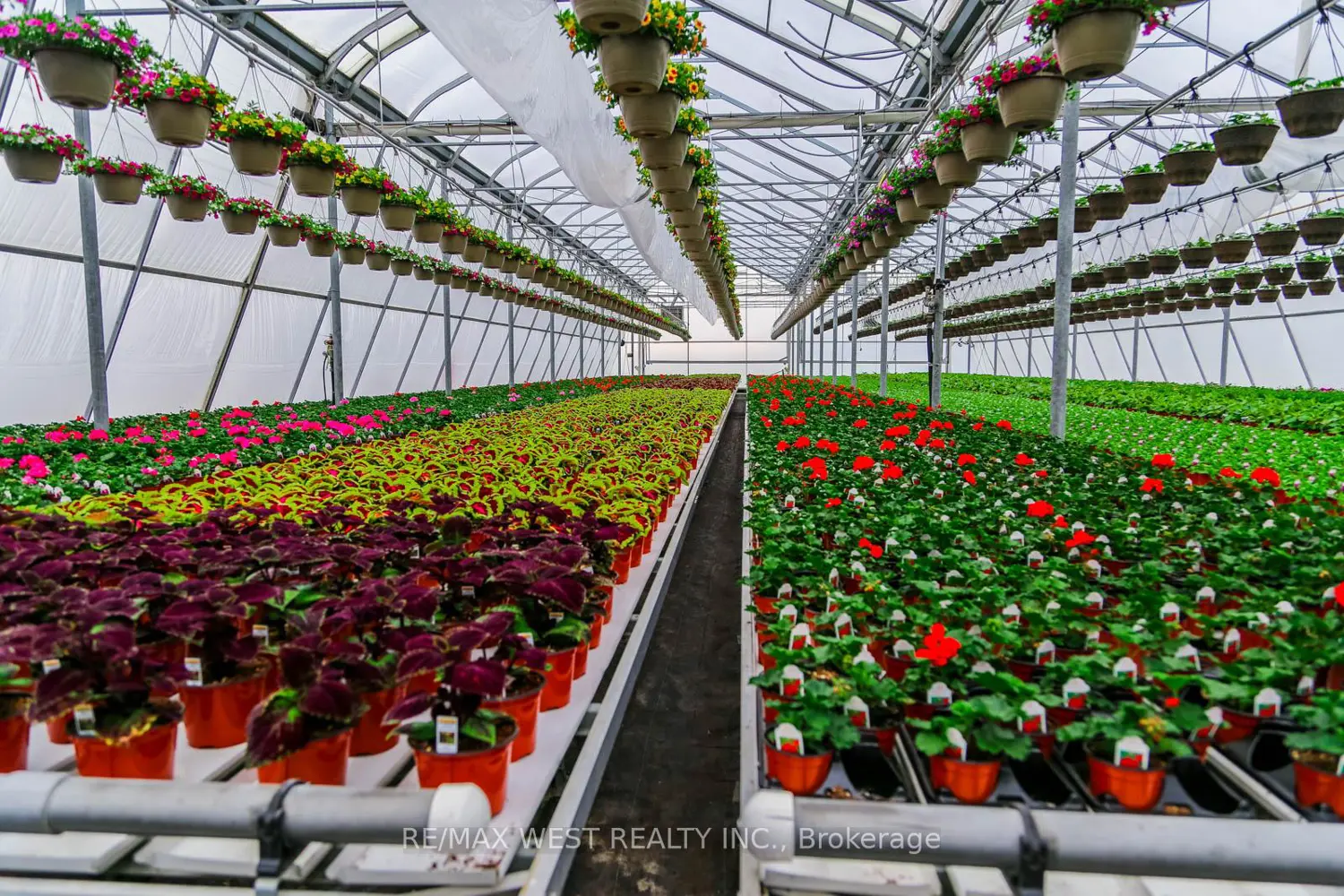 Additional image 18 of 11871 Cold Creek Road