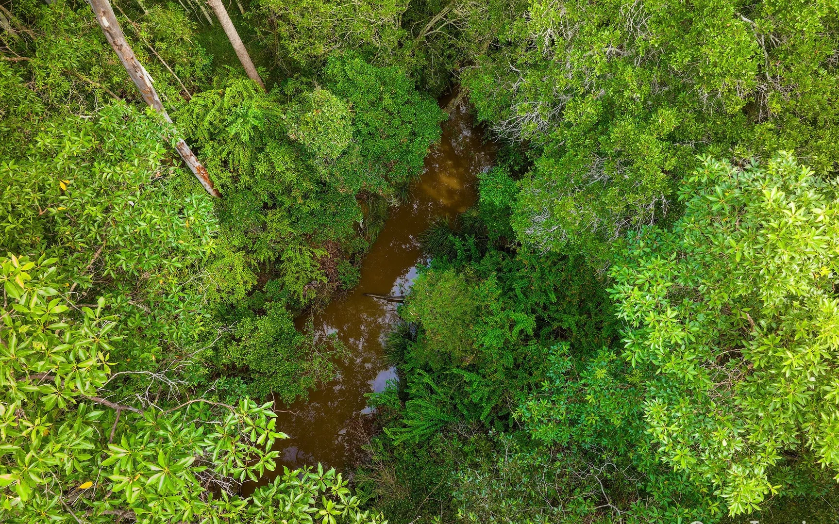 Additional image 8 of Lot L984 Arborfourteen Road, Glenwood QLD 4570