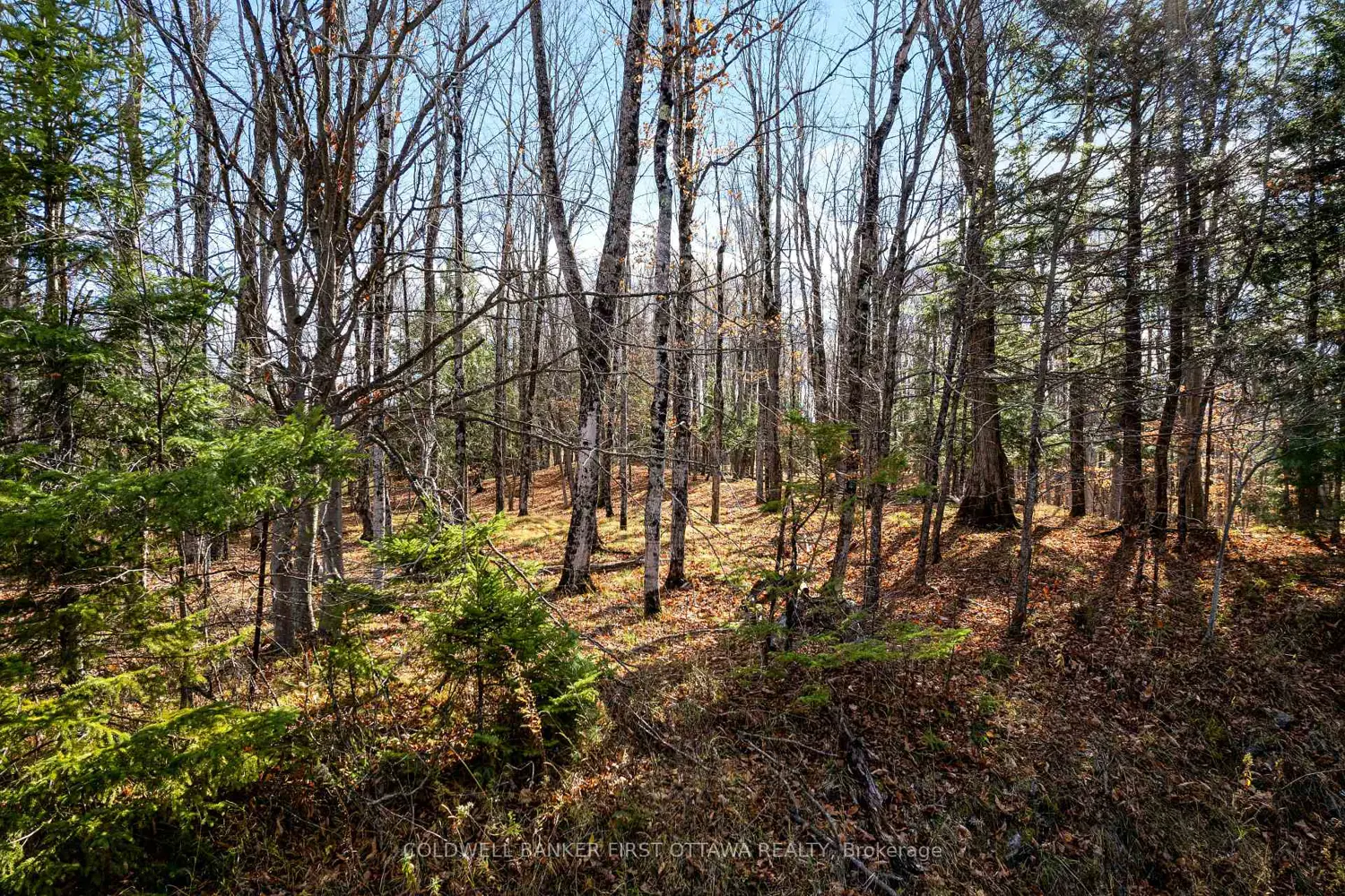 Additional image 6 of Pt 3-00 Herron Mills Road