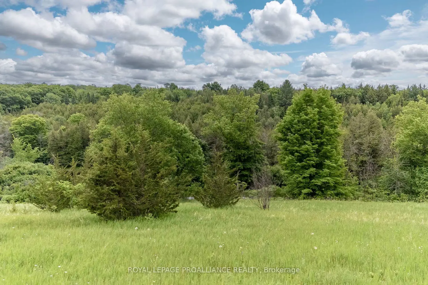 Additional image 14 of 5035 Blessington Road