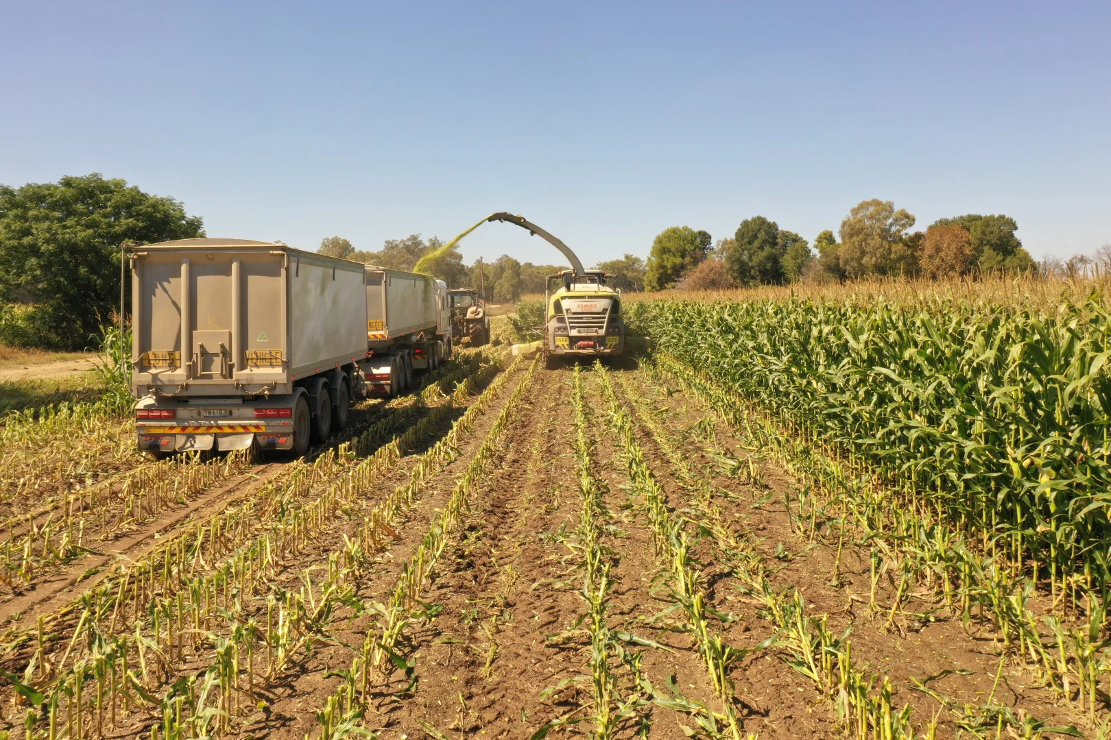 Additional image 2 of 69 Ercildoune Lane South, Forbes NSW 2871