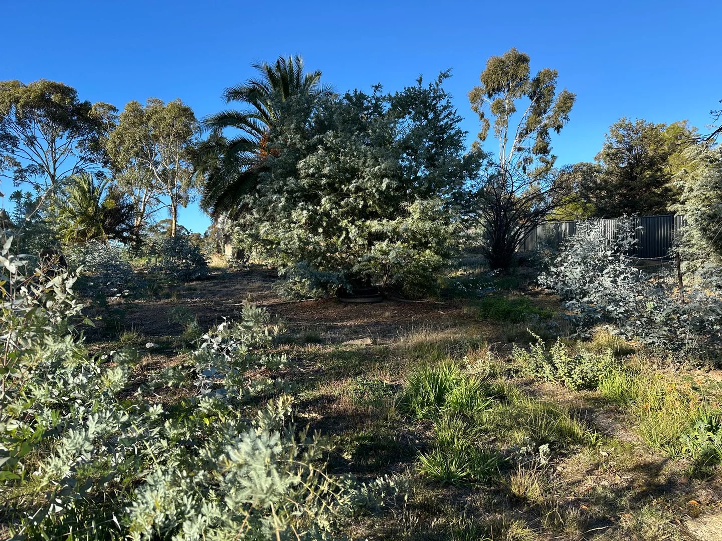 Additional image 5 of 48 Boyce Street, Avoca VIC 3467