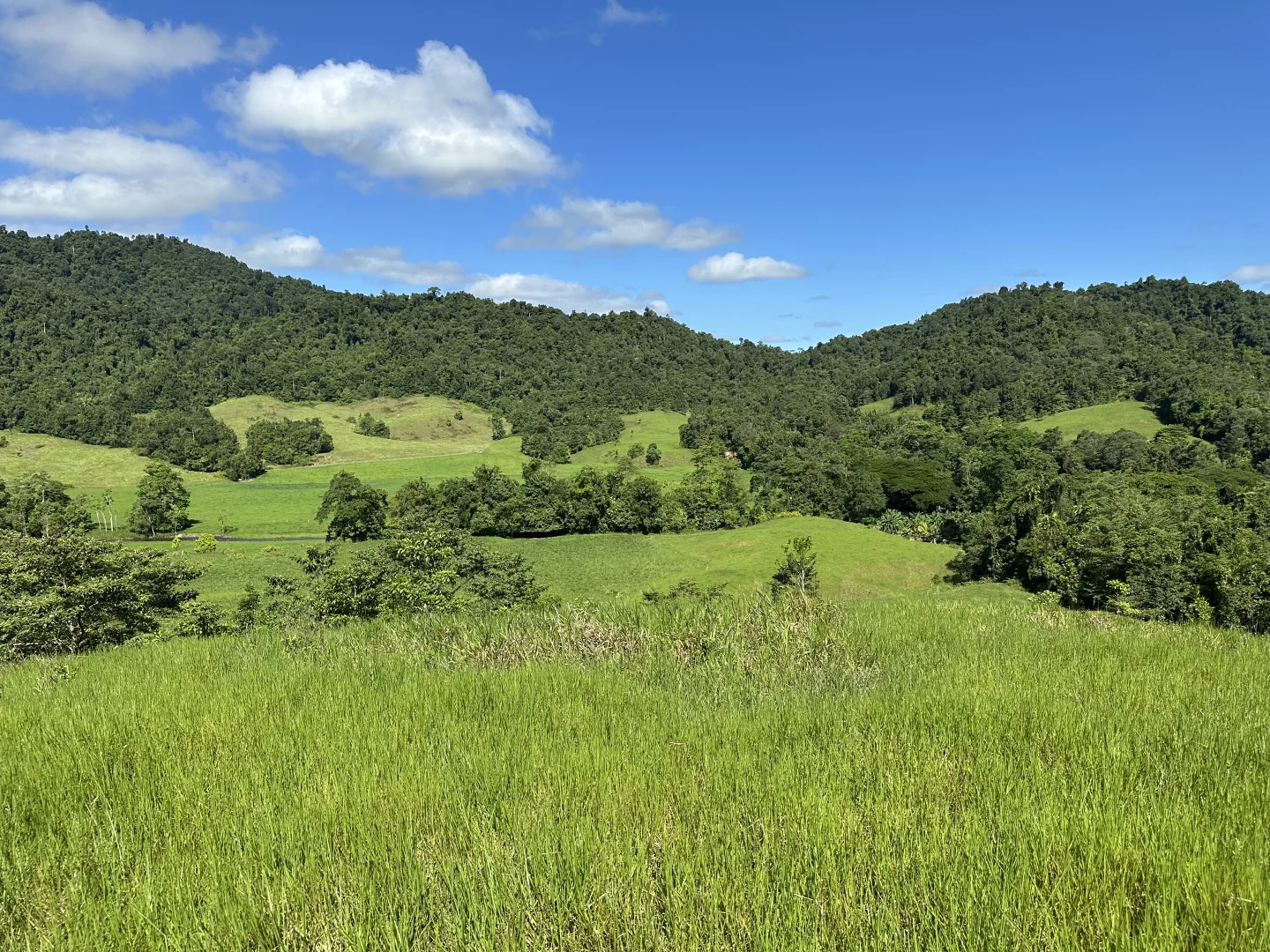 Additional image 19 of Japoonvale QLD 4856