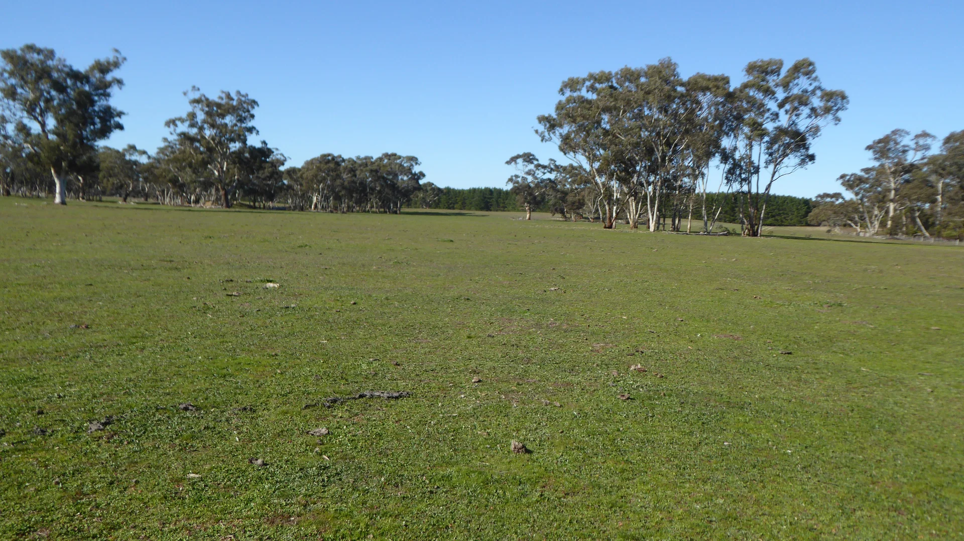 Additional image 30 of 2147 Bangham Road, Frances SA 5262