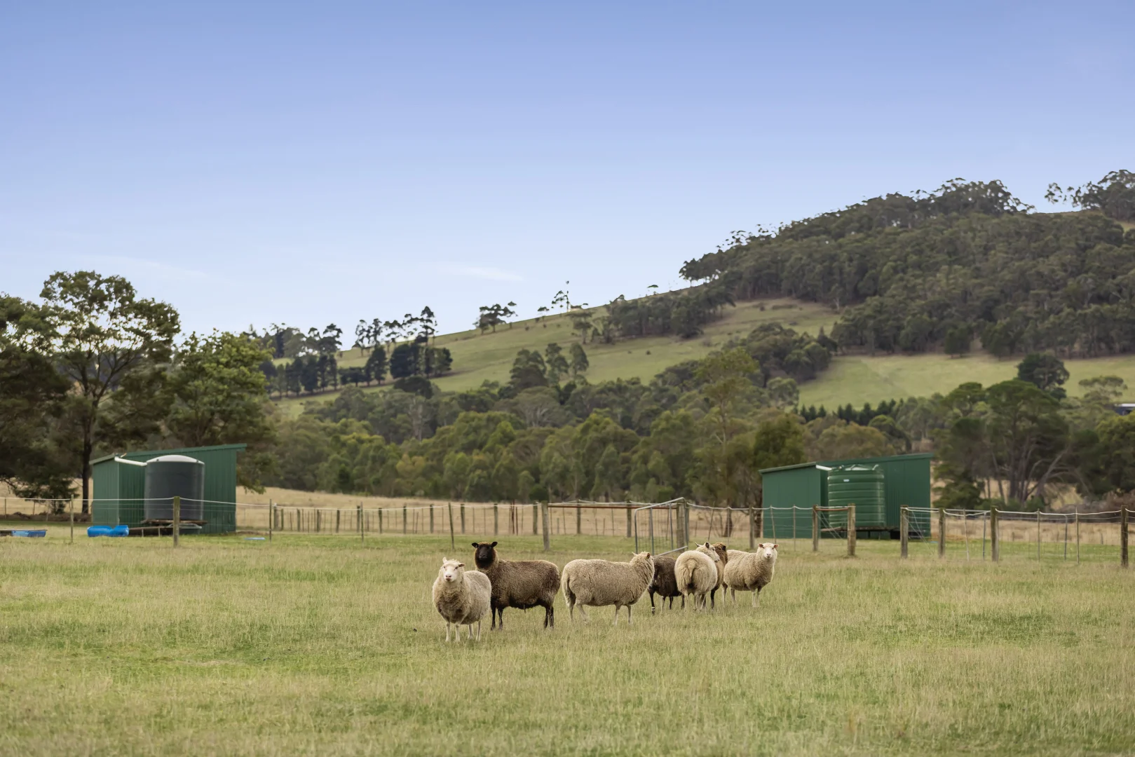 Additional image 18 of 1275 Bacchus Marsh Road, Bullengarook VIC 3437