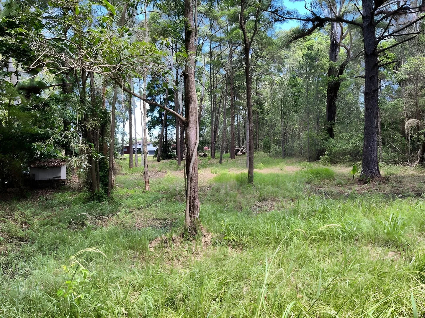 14 HAWTHORNDEN DRIVE, Russell Island QLD 4184