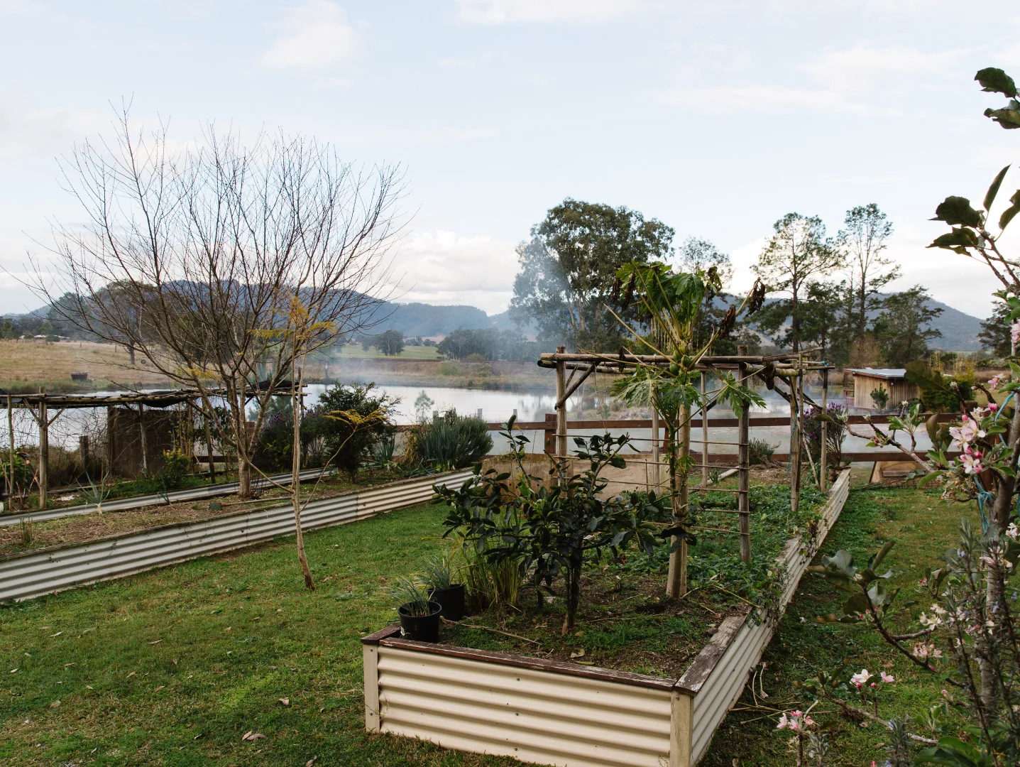 Additional image 17 of 4452 The Bucketts Way, Gloucester NSW 2422