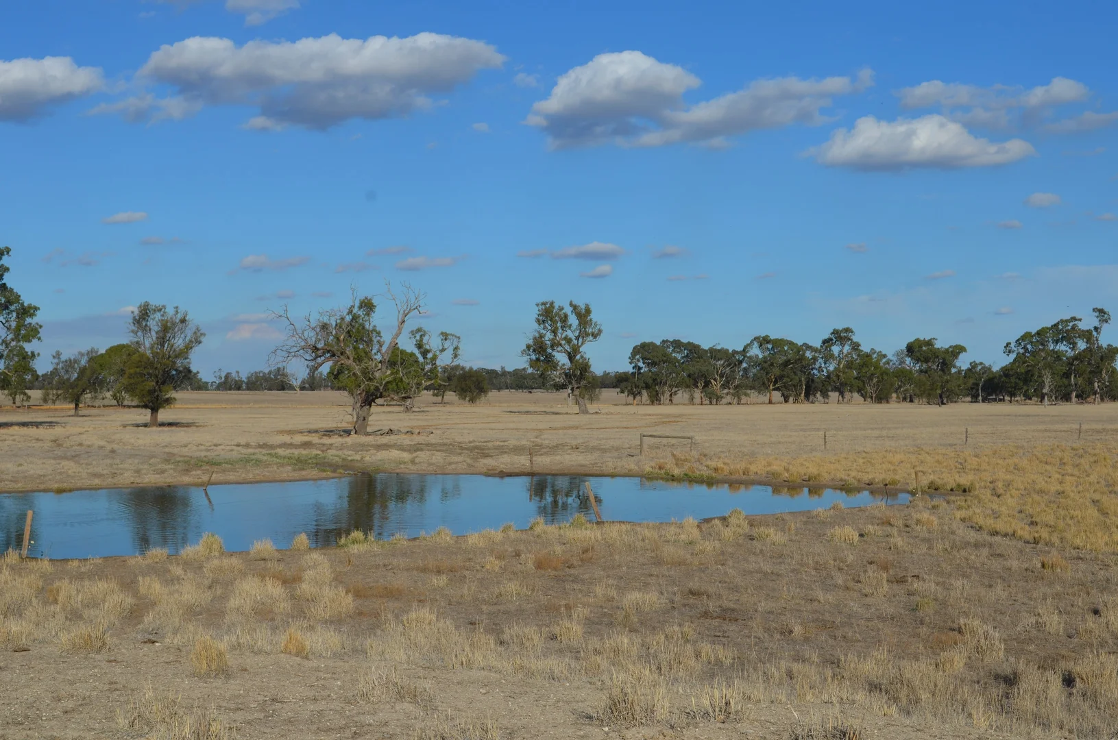 Additional image 19 of 1898 Patyah Road, Edenhope VIC 3318
