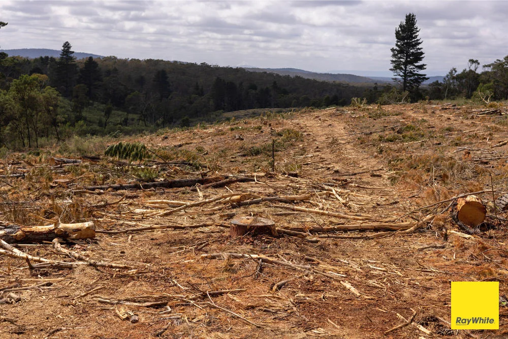Additional image 5 of 270 Pine Bank Drive, Lower Boro NSW 2580