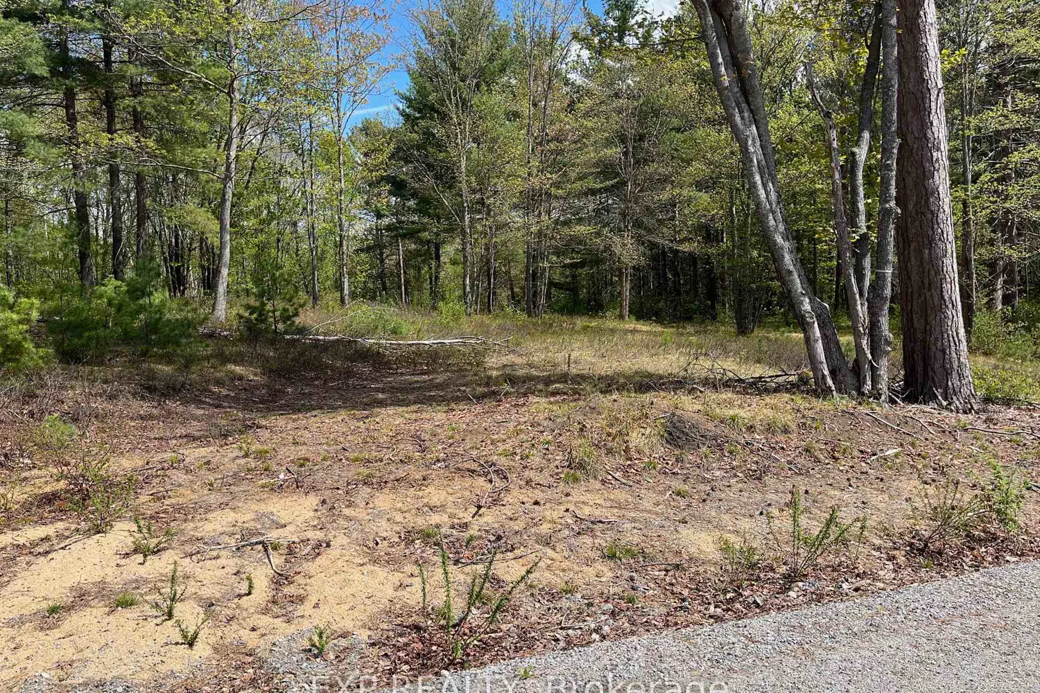 Additional image 3 of Lot 15 Sandy Shores Trail