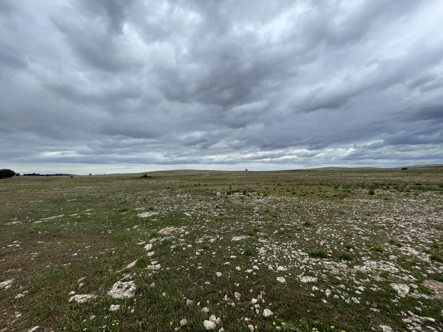 Additional image 18 of 1 Section 217, 217 & 219, Bramfield SA 5670