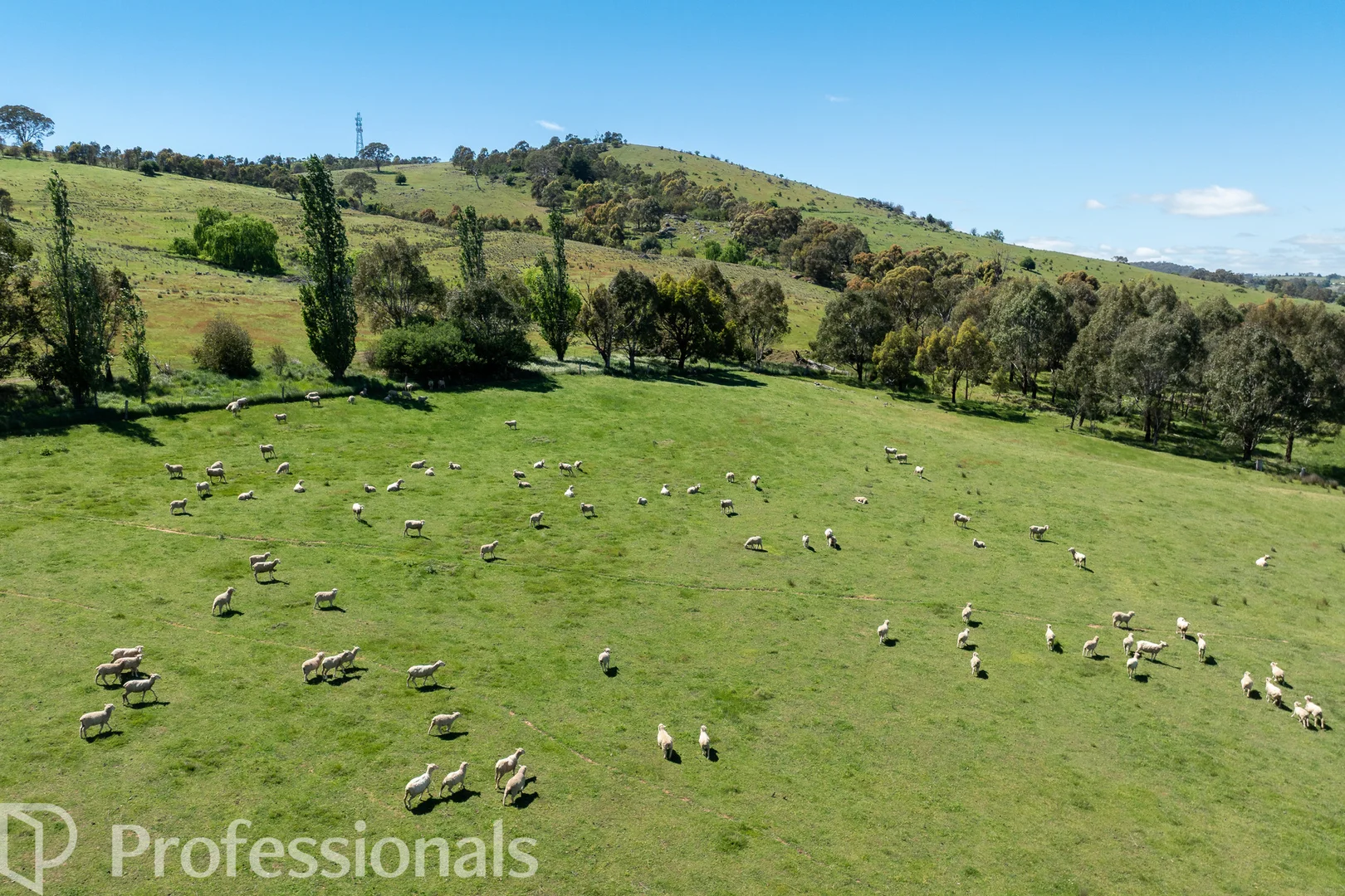 Additional image 42 of 94 Emu Swamp Road, Orange NSW 2800