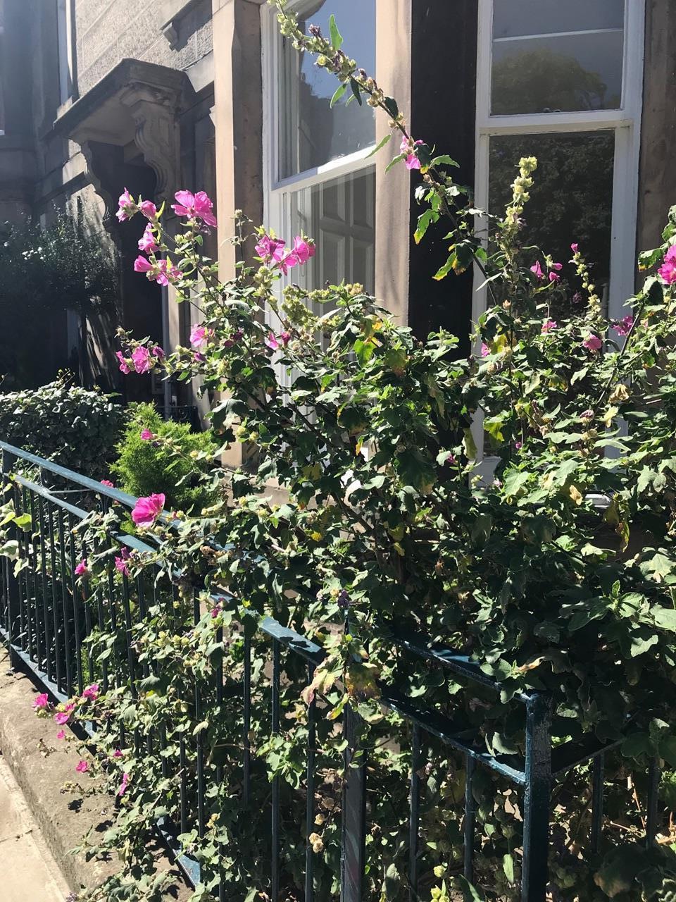 Additional image 19 of 2 Bed Flat, Dean Park Street, EH4, N1 7GU