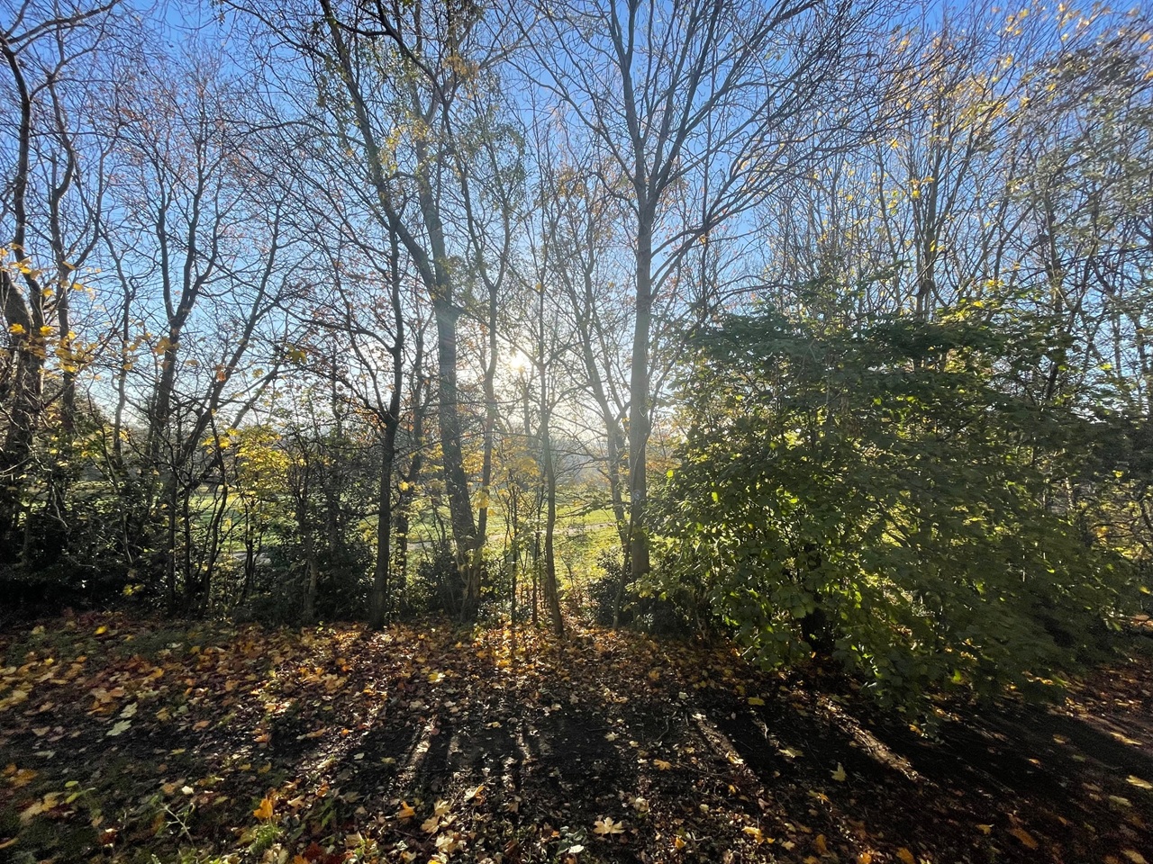 Additional image 19 of 2 Bed Flat, Bonnington Gait, EH6, N1 7GU