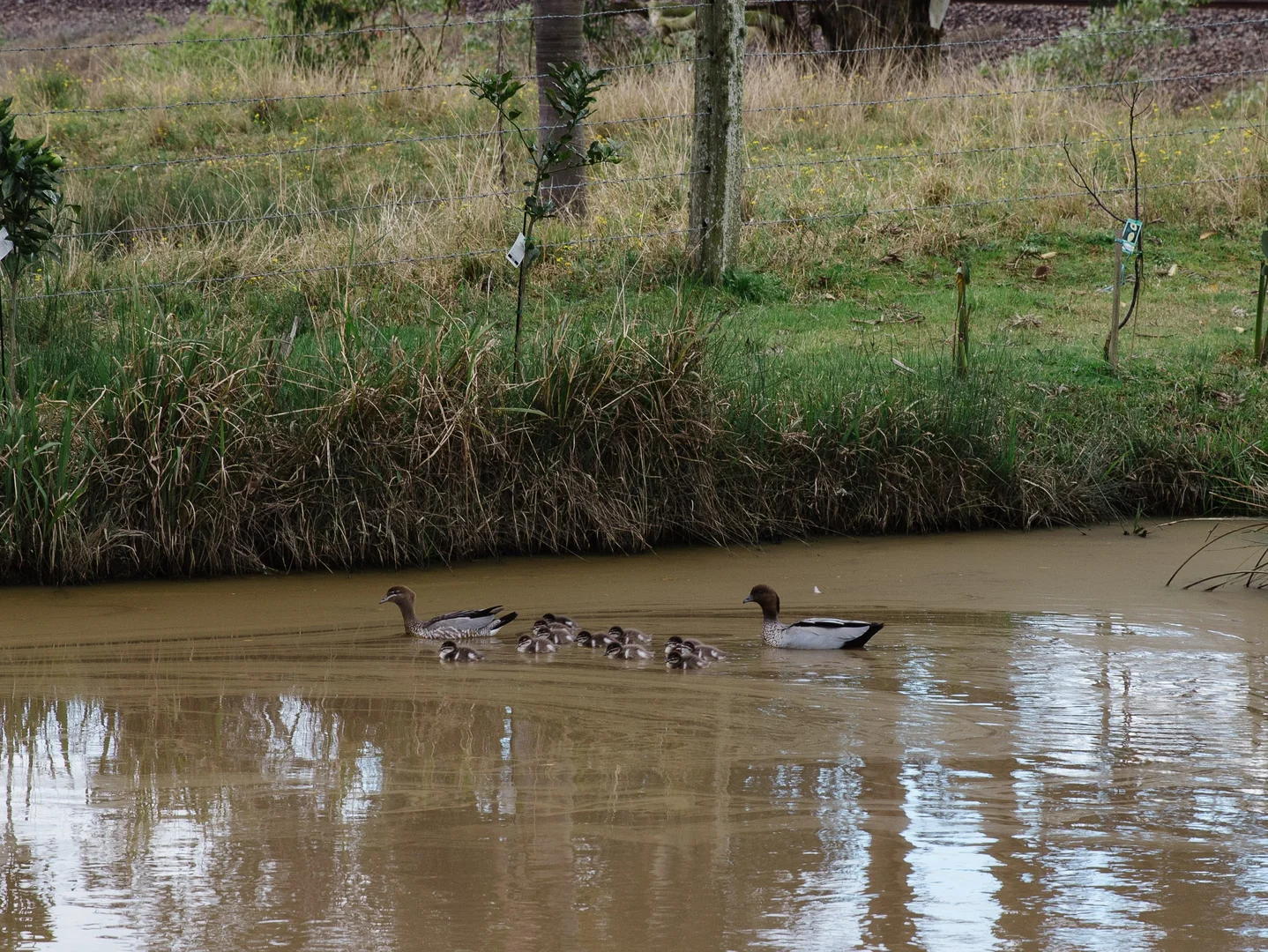 Additional image 23 of 4452 The Bucketts Way, Gloucester NSW 2422