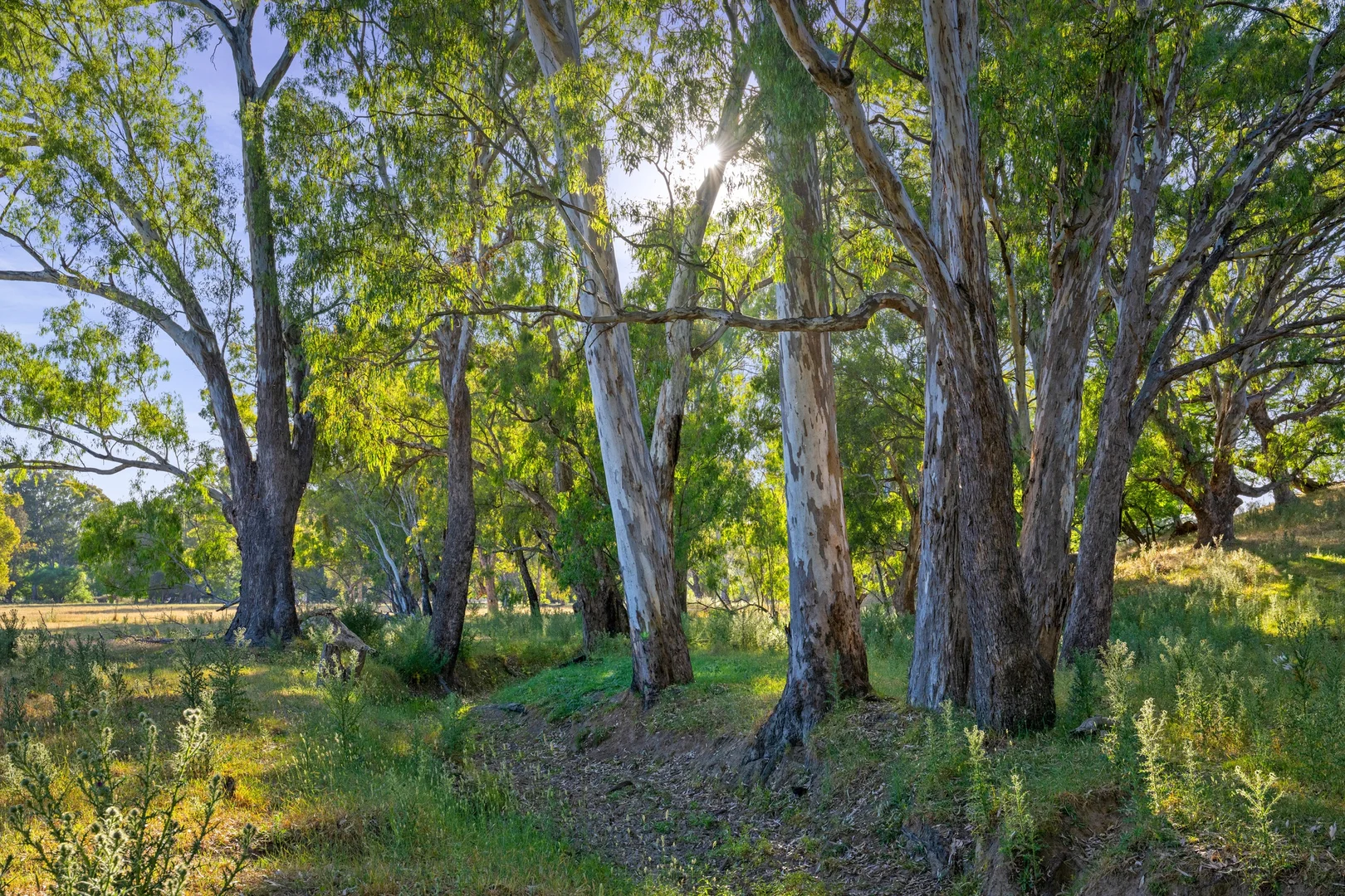 Additional image 9 of 9 Apple Box Court, Baranduda VIC 3691