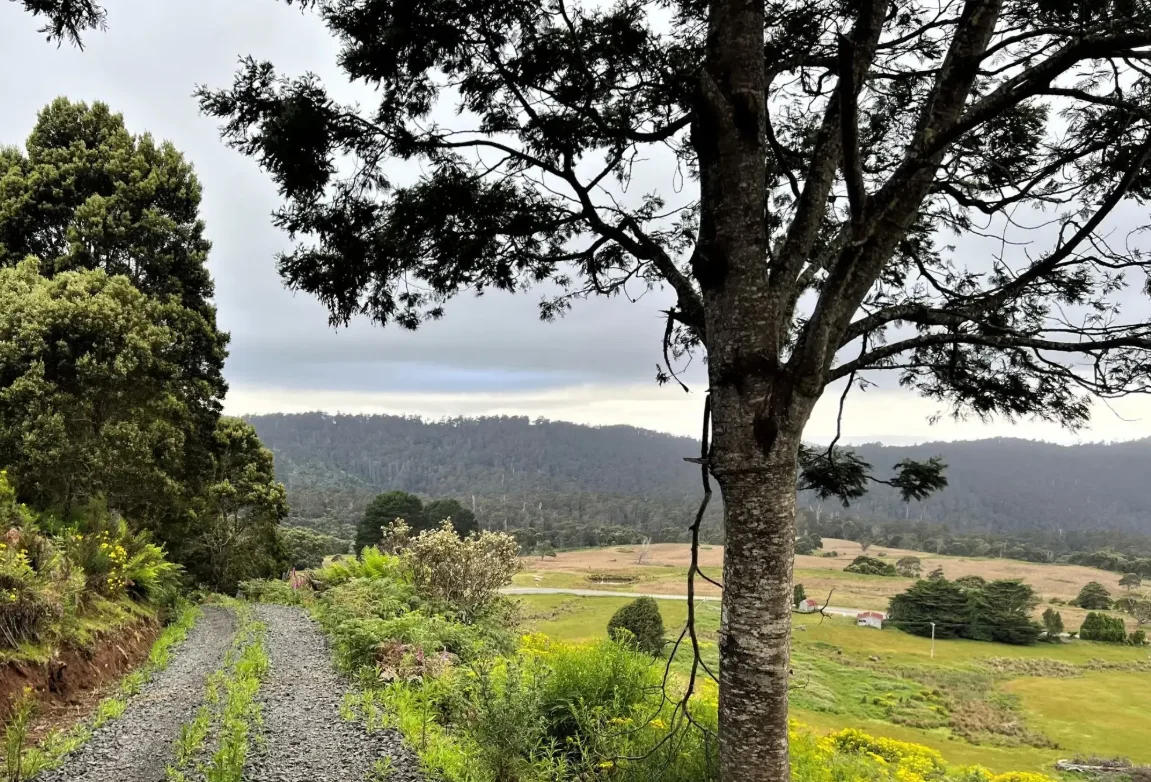 Additional image 11 of 29731 Tasman Highway, Weldborough TAS 7264