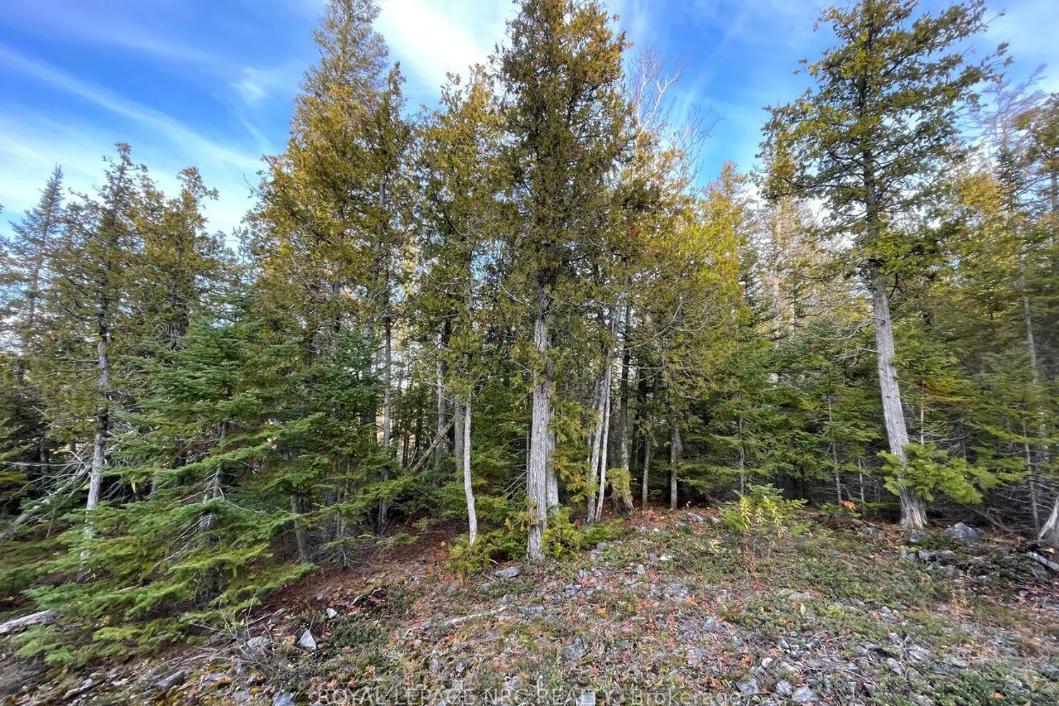 Additional image 8 of 25 Simpson Avenue