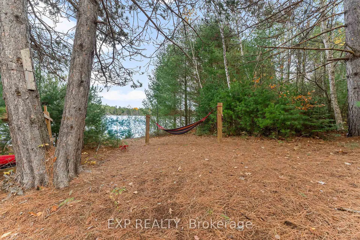 Additional image 18 of 79 Warbler Way