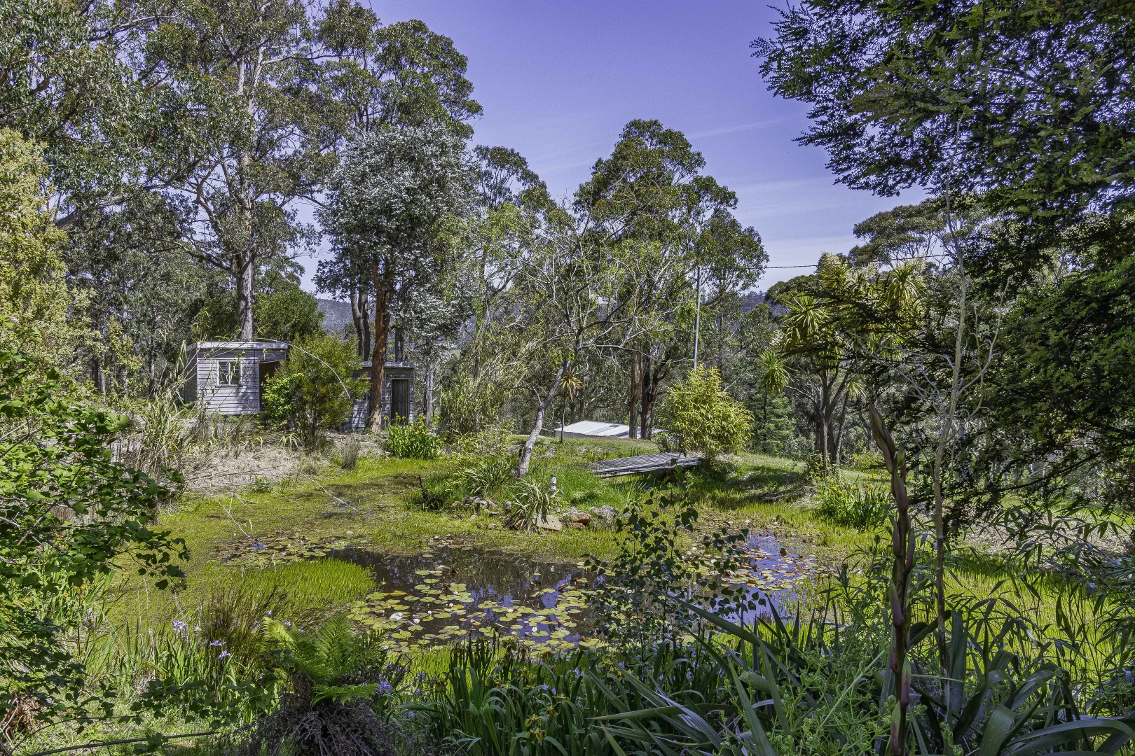Additional image 35 of 242 Woolleys Road, Lonnavale TAS 7109