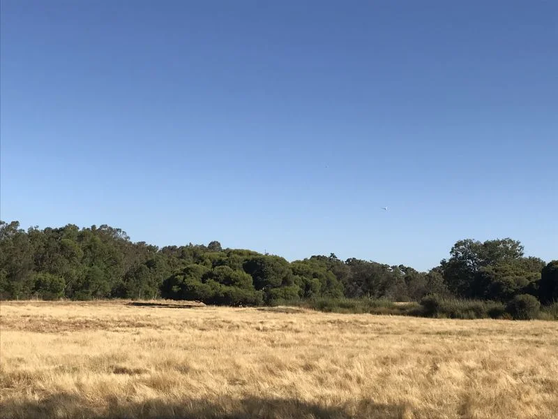 Additional image 6 of 130 Paris Road, Australind WA 6233