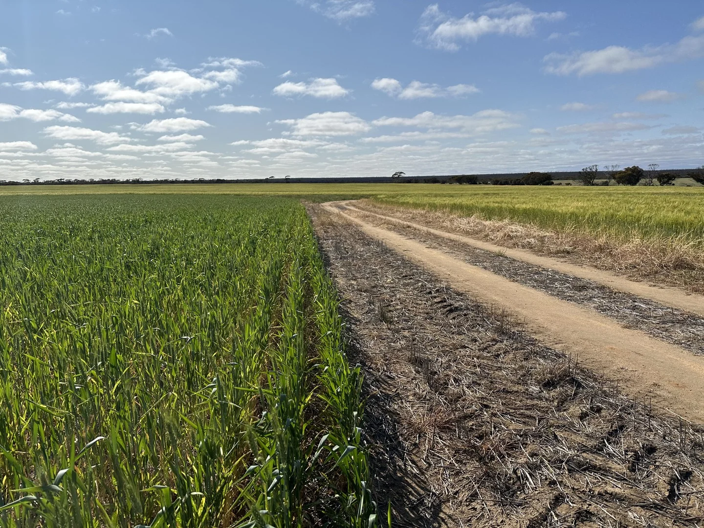 2501 Hyden Norseman Road, Hyden WA 6359