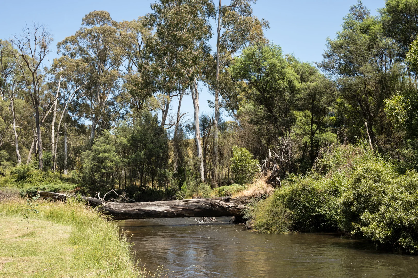 Additional image 12 of 2781 Maroondah Highway, Taggerty VIC 3714