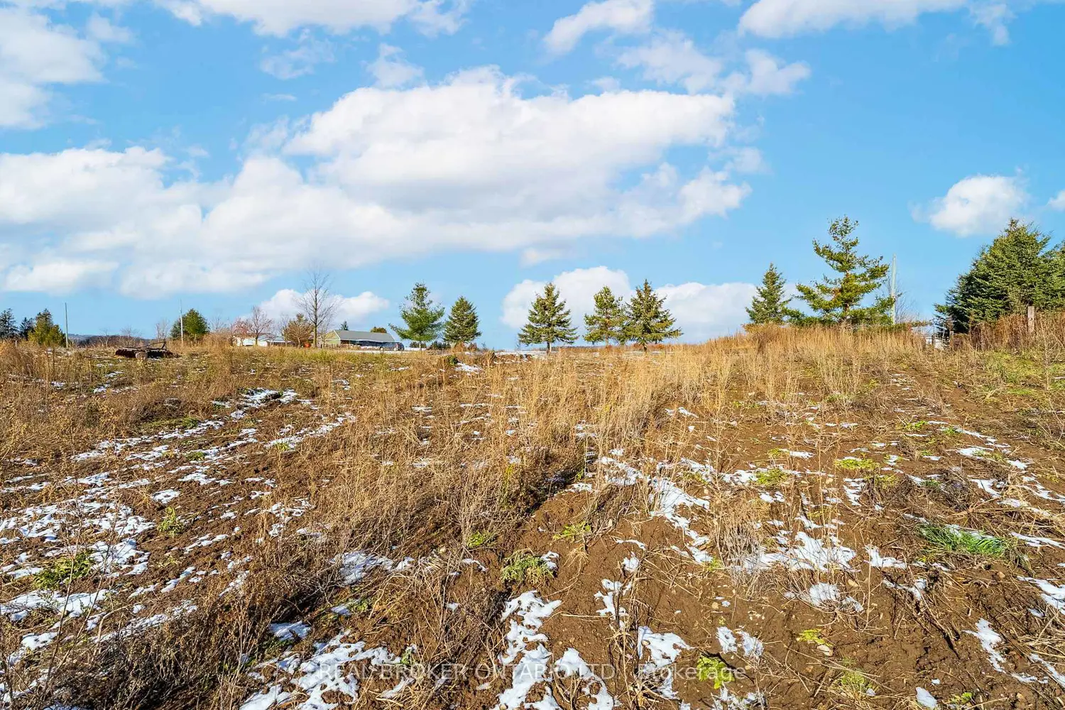 Additional image 20 of 6449 12/13 Side Road