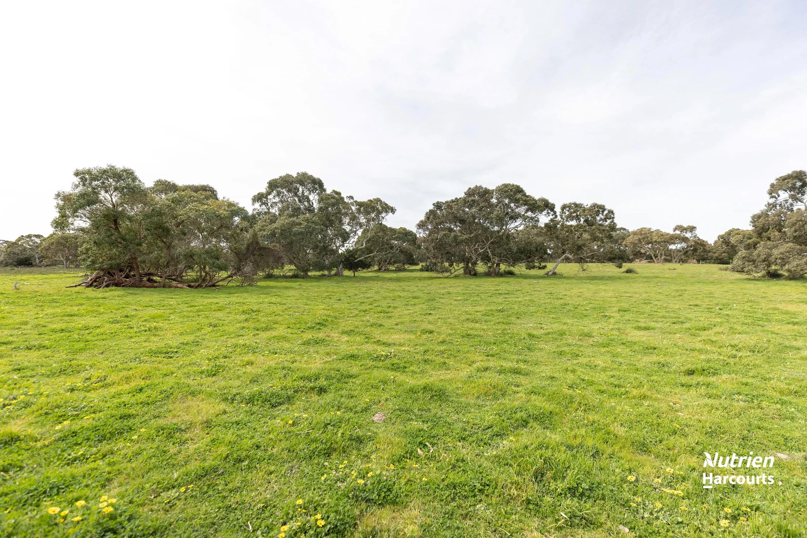 Additional image 29 of 18462 Princes Highway, Kingston Se SA 5275