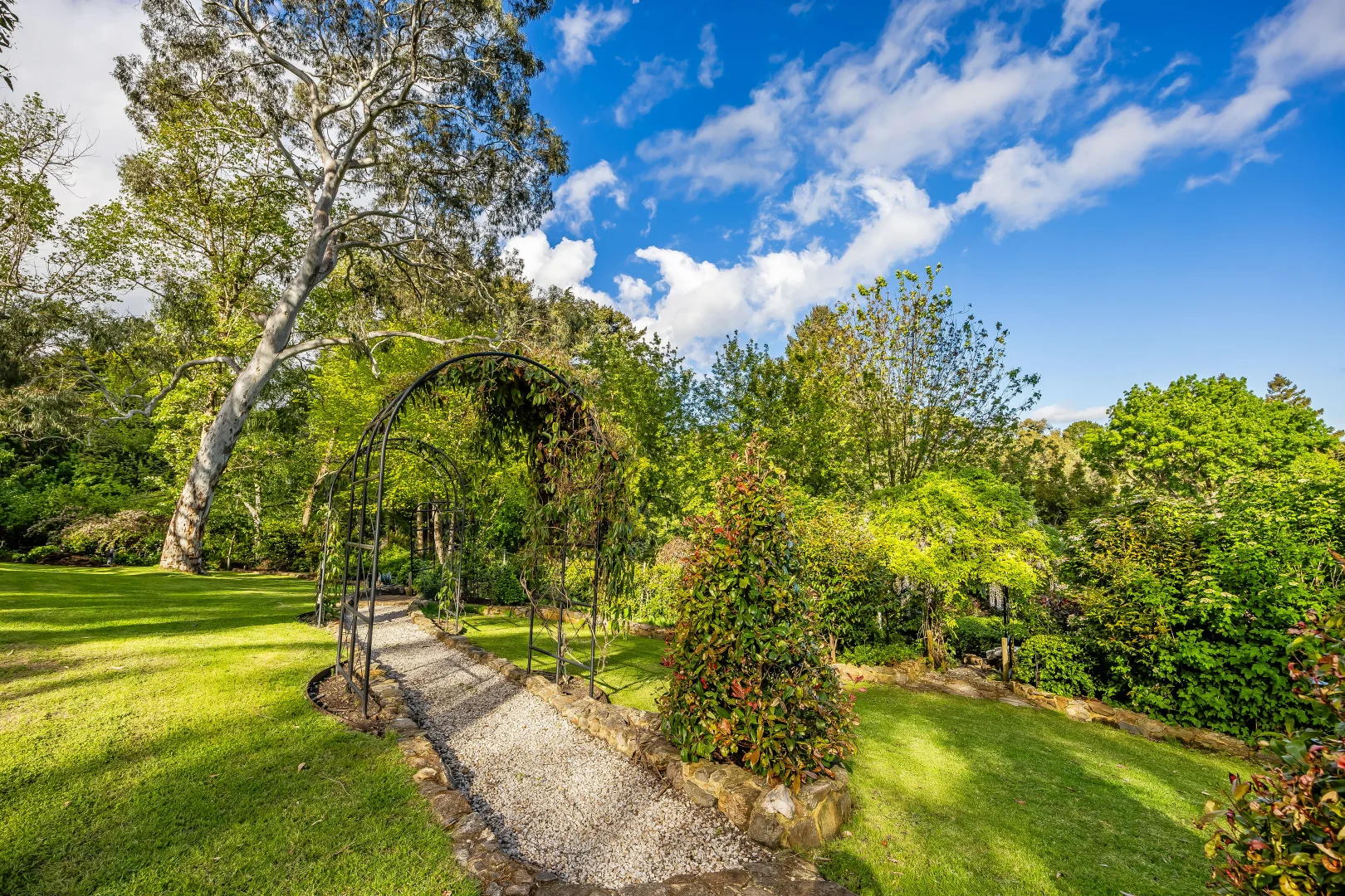 Additional image 71 of 16 Birch Road, Stirling SA 5152