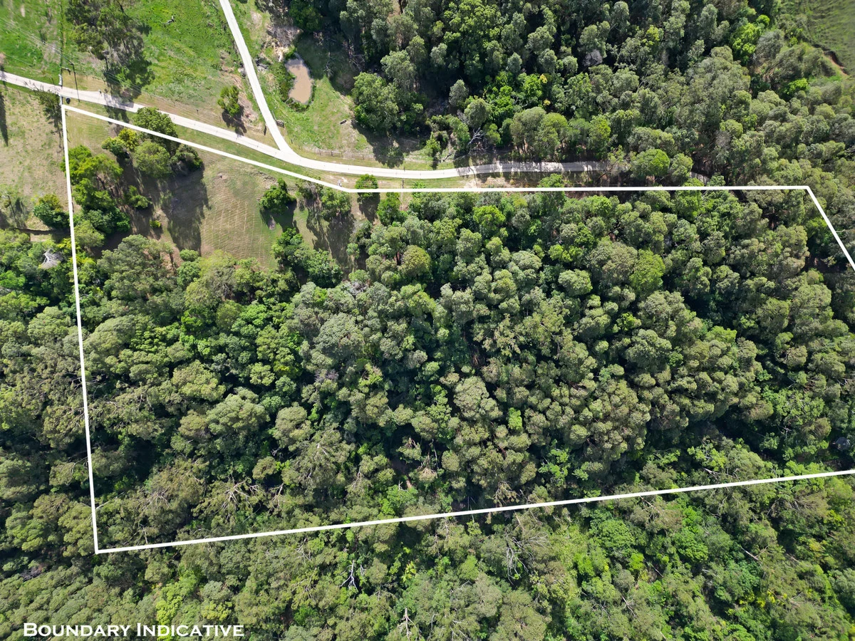 Additional image 2 of 22 Petsch Creek Road, Tallebudgera Valley QLD 4228