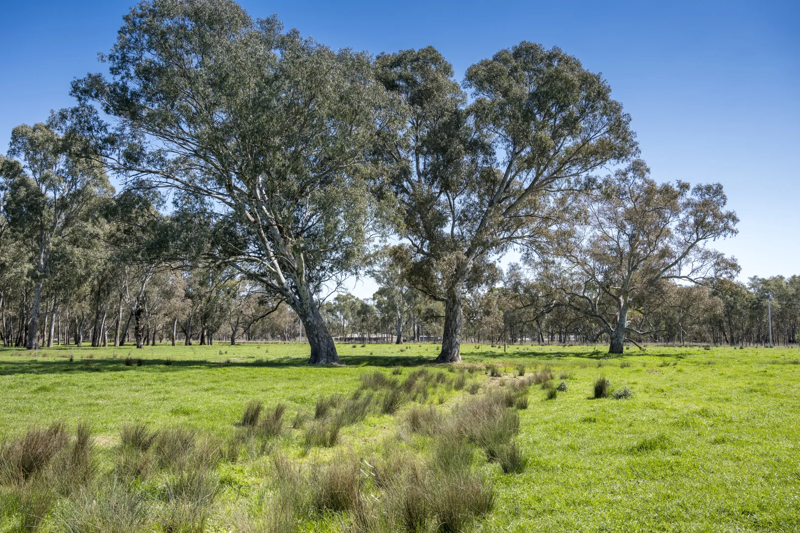 Additional image 9 of CA32 Baddaginnie-Benalla Road, Benalla VIC 3672