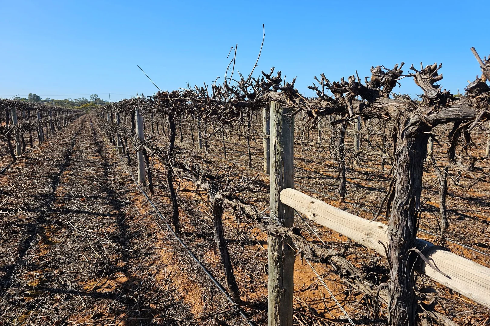 Additional image 4 of Lot 2 PS216987 Anzac Road, Robinvale VIC 3549