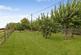 Additional image 18 of Longdon-upon-Tern, Telford, Shropshire