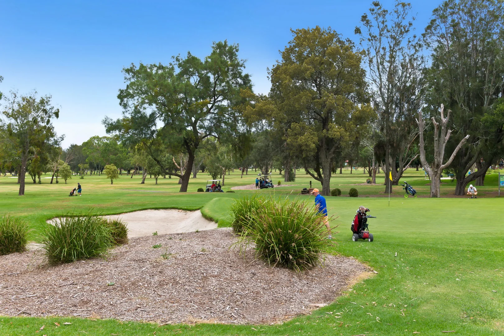 Additional image 15 of 38 Marx Avenue, Beverley Park NSW 2217